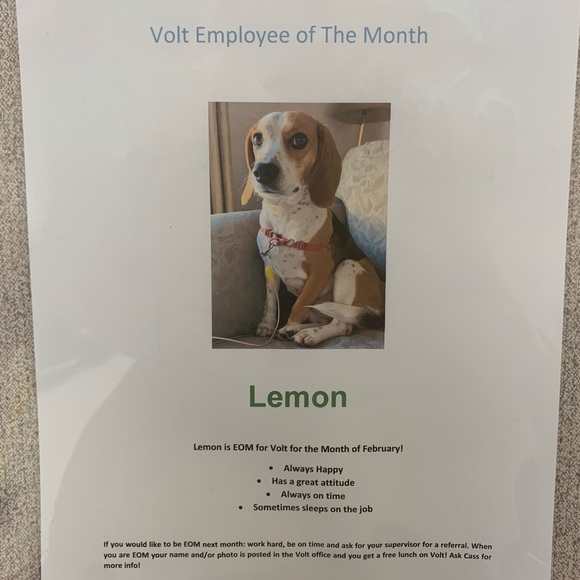 Meet me & Lemon ♥️🥰 - Picture 4 of 4